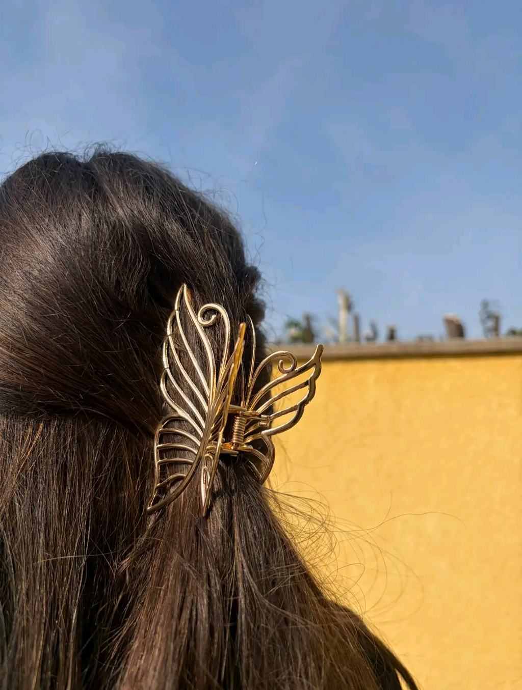 PINCE PAPILLON